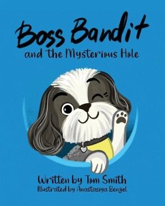 Boss Bandit and the Mysterious Hole - Smith, Tom W.