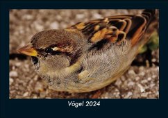 Vögel 2024 Fotokalender DIN A5 - Tobias Becker