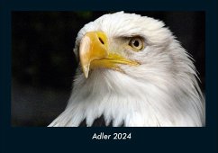 Adler 2024 Fotokalender DIN A4 - Tobias Becker