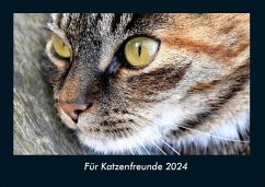 Für Katzenfreunde 2024 Fotokalender DIN A4 - Tobias Becker