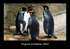 Pinguine & Eisbären 2024 Fotokalender DIN A3 - Tobias Becker