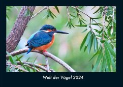 Welt der Vögel 2024 Fotokalender DIN A4 - Tobias Becker