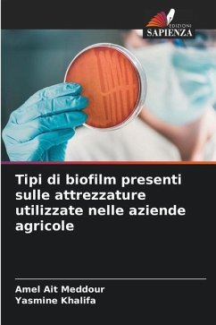 Tipi di biofilm presenti sulle attrezzature utilizzate nelle aziende agricole - Ait Meddour, Amel;Khalifa, Yasmine