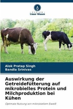 Auswirkung der Getreidefütterung auf mikrobielles Protein und Milchproduktion bei Kühen - Singh, Alok Pratap;Srinivas, Bandla