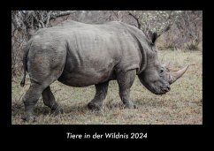 Tiere in der Wildnis 2024 Fotokalender DIN A3 - Tobias Becker