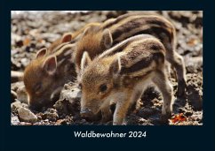 Waldbewohner 2024 Fotokalender DIN A4 - Tobias Becker
