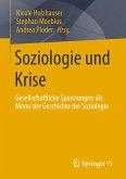 Soziologie und Krise (eBook, PDF)