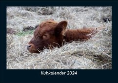 Kuhkalender 2024 Fotokalender DIN A5 - Tobias Becker