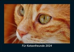 Für Katzenfreunde 2024 Fotokalender DIN A5 - Tobias Becker