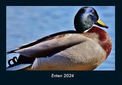 Enten 2024 Fotokalender DIN A4 - Tobias Becker