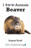 Beaver