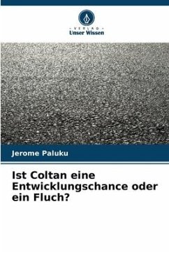 Ist Coltan eine Entwicklungschance oder ein Fluch? - Paluku, Jerome