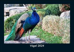 Vögel 2024 Fotokalender DIN A5 - Tobias Becker