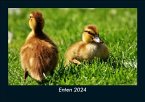 Enten 2024 Fotokalender DIN A5