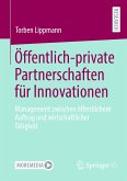 Öffentlich-private Partnerschaften für Innovationen (eBook, PDF)