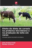 Efeito da dieta de cereais na proteína microbiana e na produção de leite em vacas