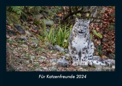 Für Katzenfreunde 2024 Fotokalender DIN A4 - Tobias Becker