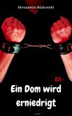 Ein Dom wird erniedrigt (eBook, ePUB)