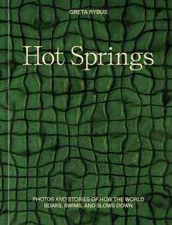 Hot Springs (eBook, ePUB) - Rybus, Greta