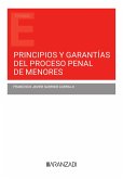 Principios y garantías del proceso penal de menores (eBook, ePUB)