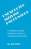 Unexpected Sizzling Encounters (eBook, ePUB)