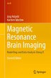 Magnetic Resonance Brain Imaging - Bild 1