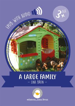 A large family (fixed-layout eBook, ePUB) - Brun, Lina