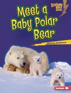 Meet a Baby Polar Bear - Sanderson, Whitney