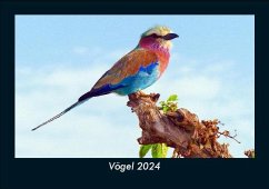 Vögel 2024 Fotokalender DIN A5 - Tobias Becker