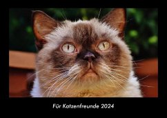 Für Katzenfreunde 2024 Fotokalender DIN A3 - Tobias Becker