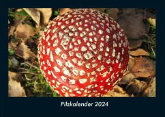 Pilzkalender 2024 Fotokalender DIN A4 - Tobias Becker