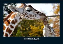 Giraffen 2024 Fotokalender DIN A5 - Tobias Becker