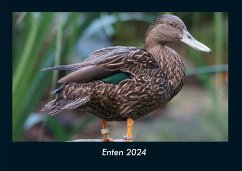 Enten 2024 Fotokalender DIN A4 - Tobias Becker