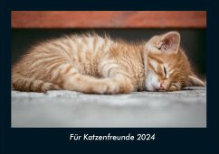 Für Katzenfreunde 2024 Fotokalender DIN A4 - Tobias Becker