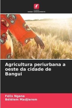 Agricultura periurbana a oeste da cidade de Bangui - Ngana, Félix;Madjierem, Bélélem