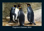 Pinguine & Eisbären 2024 Fotokalender DIN A5