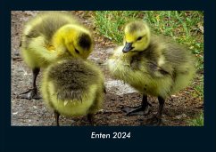 Enten 2024 Fotokalender DIN A4 - Tobias Becker