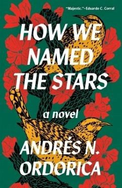 How We Named the Stars - Ordorica, Andrés N