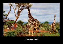 Giraffen 2024 Fotokalender DIN A3 - Tobias Becker