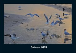 Möwen 2024 Fotokalender DIN A4 - Tobias Becker
