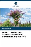 Die Extraktion des ätherischen Öls von Lavandula angustifolia