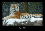 Tiger 2024 Fotokalender DIN A3