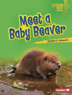Meet a Baby Beaver - Schwartz, Heather E