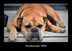 Hundezauber 2024 Fotokalender DIN A3 - Tobias Becker