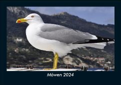 Möwen 2024 Fotokalender DIN A5 - Tobias Becker