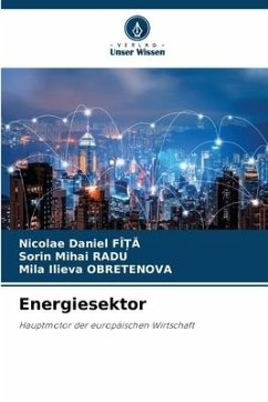Energiesektor - FÎ_A, Nicolae Daniel;Radu, Sorin Mihai;Obretenova, Mila Ilieva