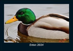 Enten 2024 Fotokalender DIN A5 - Tobias Becker