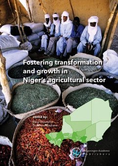 Fostering Transformation and Growth in Niger's Agricultural Sector