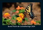 Bunte Pracht der Schmetterlinge 2024 Fotokalender DIN A5
