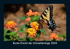 Bunte Pracht der Schmetterlinge 2024 Fotokalender DIN A5 - Tobias Becker